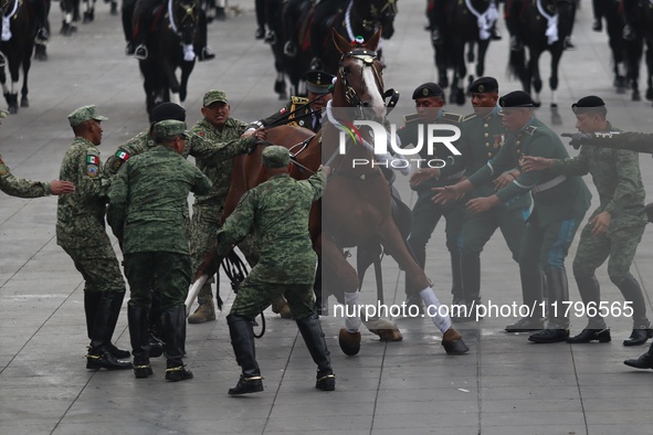 A horse collapses during the military civic parade for the commemoration of the 114th anniversary of the Mexican Revolution at the main squa...