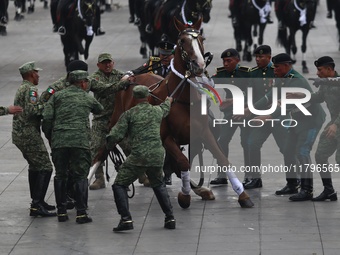 A horse collapses during the military civic parade for the commemoration of the 114th anniversary of the Mexican Revolution at the main squa...