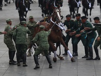 A horse collapses during the military civic parade for the commemoration of the 114th anniversary of the Mexican Revolution at the main squa...