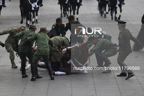 A horse collapses during the military civic parade for the commemoration of the 114th anniversary of the Mexican Revolution at the main squa...