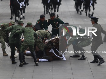 A horse collapses during the military civic parade for the commemoration of the 114th anniversary of the Mexican Revolution at the main squa...