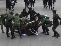 A horse collapses during the military civic parade for the commemoration of the 114th anniversary of the Mexican Revolution at the main squa...