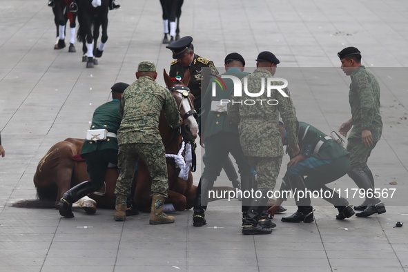 A horse collapses during the military civic parade for the commemoration of the 114th anniversary of the Mexican Revolution at the main squa...