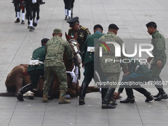 A horse collapses during the military civic parade for the commemoration of the 114th anniversary of the Mexican Revolution at the main squa...