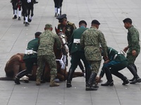 A horse collapses during the military civic parade for the commemoration of the 114th anniversary of the Mexican Revolution at the main squa...