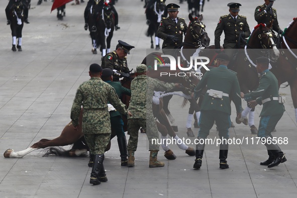 A horse collapses during the military civic parade for the commemoration of the 114th anniversary of the Mexican Revolution at the main squa...