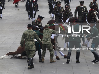 A horse collapses during the military civic parade for the commemoration of the 114th anniversary of the Mexican Revolution at the main squa...