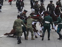 A horse collapses during the military civic parade for the commemoration of the 114th anniversary of the Mexican Revolution at the main squa...