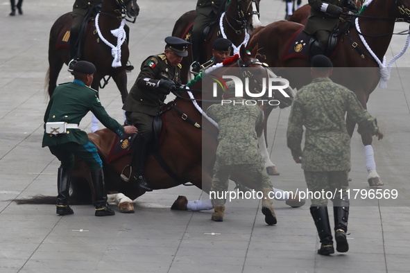 A horse collapses during the military civic parade for the commemoration of the 114th anniversary of the Mexican Revolution at the main squa...