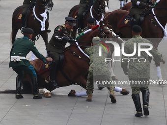 A horse collapses during the military civic parade for the commemoration of the 114th anniversary of the Mexican Revolution at the main squa...