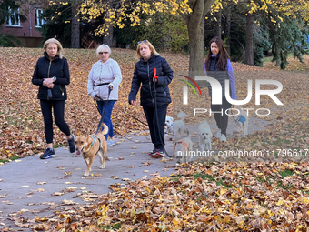 Women walk their dogs among colorful fallen leaves during the autumn season in Toronto, Ontario, Canada, on November 6, 2024. (