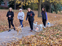 Women walk their dogs among colorful fallen leaves during the autumn season in Toronto, Ontario, Canada, on November 6, 2024. (