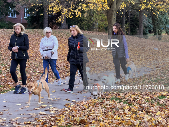 Women walk their dogs among colorful fallen leaves during the autumn season in Toronto, Ontario, Canada, on November 6, 2024. 