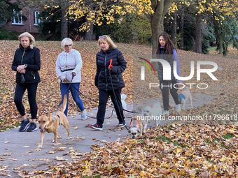 Women walk their dogs among colorful fallen leaves during the autumn season in Toronto, Ontario, Canada, on November 6, 2024. (