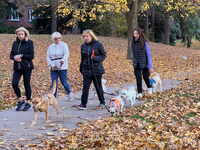 Women walk their dogs among colorful fallen leaves during the autumn season in Toronto, Ontario, Canada, on November 6, 2024. (