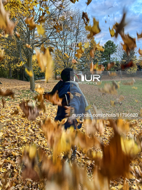 A woman throws colorful fallen leaves in the air during the autumn season in Toronto, Ontario, Canada, on November 6, 2024. 