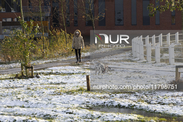 People walk their dogs in the snow. First winter weather of the season with snow hit the Netherlands. Low temperatures with wet snow conditi...