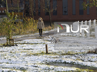 People walk their dogs in the snow. First winter weather of the season with snow hit the Netherlands. Low temperatures with wet snow conditi...