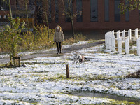 People walk their dogs in the snow. First winter weather of the season with snow hit the Netherlands. Low temperatures with wet snow conditi...