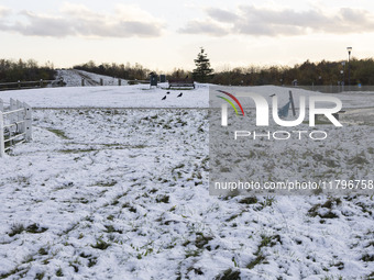 First winter weather of the season with snow hit the Netherlands. Low temperatures with wet snow conditions occurred on Wednesday, 20 Novemb...