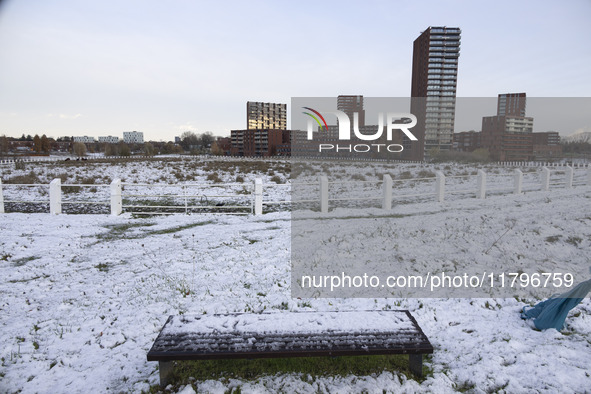 First winter weather of the season with snow hit the Netherlands. Low temperatures with wet snow conditions occurred on Wednesday, 20 Novemb...