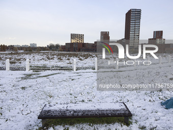 First winter weather of the season with snow hit the Netherlands. Low temperatures with wet snow conditions occurred on Wednesday, 20 Novemb...