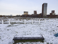 First winter weather of the season with snow hit the Netherlands. Low temperatures with wet snow conditions occurred on Wednesday, 20 Novemb...