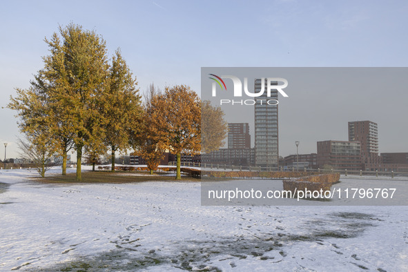 First winter weather of the season with snow hit the Netherlands. Low temperatures with wet snow conditions occurred on Wednesday, 20 Novemb...