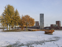 First winter weather of the season with snow hit the Netherlands. Low temperatures with wet snow conditions occurred on Wednesday, 20 Novemb...