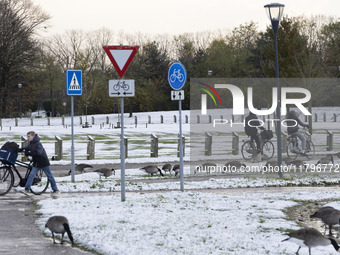 People are using their bicycle in the snow while Canada Goose birds are walking around. First winter weather of the season with snow hit the...