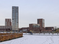 First winter weather of the season with snow hit the Netherlands. Low temperatures with wet snow conditions occurred on Wednesday, 20 Novemb...