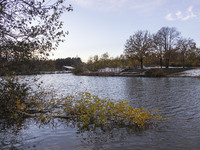 The lake and a wooden building in front of the forest in Park Meerland. First winter weather of the season with snow hit the Netherlands. Lo...