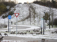 Flock of Canada goose birds Branta canadensis species spotted in the snow. First winter weather of the season with snow hit the Netherlands....