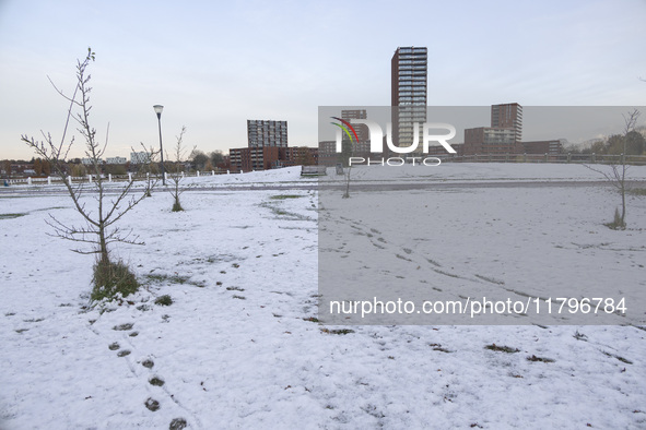 First winter weather of the season with snow hit the Netherlands. Low temperatures with wet snow conditions occurred on Wednesday, 20 Novemb...