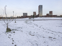 First winter weather of the season with snow hit the Netherlands. Low temperatures with wet snow conditions occurred on Wednesday, 20 Novemb...