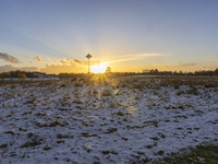 Cows spotted in a fenced area in the snow. First winter weather of the season with snow hit the Netherlands as spotted before the sunset. Lo...