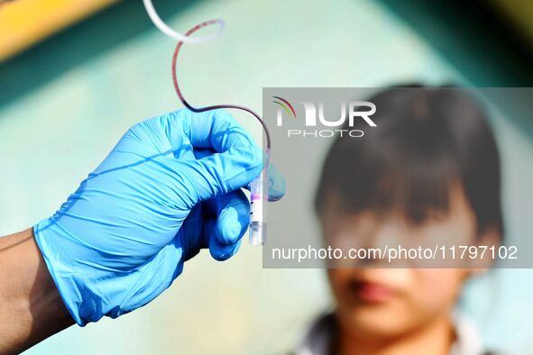 A veterinarian draws blood from a squirrel monkey for a physical examination at the Forest Wildlife World in Qingdao, China, on November 21,...