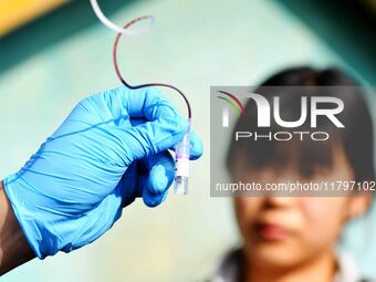 A veterinarian draws blood from a squirrel monkey for a physical examination at the Forest Wildlife World in Qingdao, China, on November 21,...