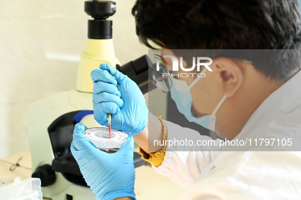 A veterinarian performs blood biochemical analysis on a wild animal at Qingdao Forest Wildlife World in Shandong province, on November 21, 2...