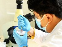 A veterinarian performs blood biochemical analysis on a wild animal at Qingdao Forest Wildlife World in Shandong province, on November 21, 2...