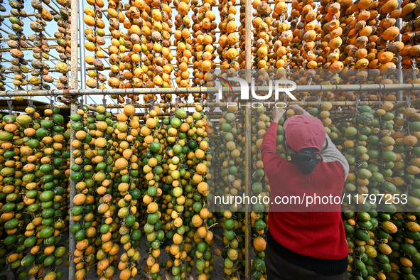 A villager displays a Fructus Trichosanthis at a Fructus Trichosanthis planting base in Suqian, Jiangsu province, China, on November 21, 202...