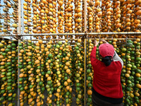 A villager displays a Fructus Trichosanthis at a Fructus Trichosanthis planting base in Suqian, Jiangsu province, China, on November 21, 202...