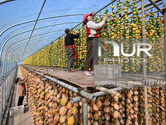 A villager displays a Fructus Trichosanthis at a Fructus Trichosanthis planting base in Suqian, Jiangsu province, China, on November 21, 202...