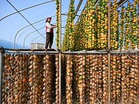 A villager displays a Fructus Trichosanthis at a Fructus Trichosanthis planting base in Suqian, Jiangsu province, China, on November 21, 202...