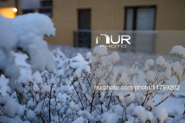 Snow is seen falling in a residential neighbourhood in Warsaw, Poland on 22 November, 2024. It is the first time in recent years significant...