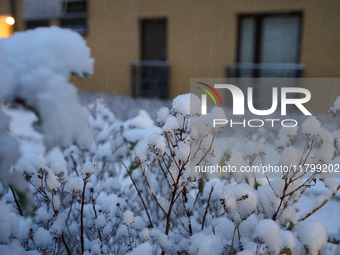 Snow is seen falling in a residential neighbourhood in Warsaw, Poland on 22 November, 2024. It is the first time in recent years significant...