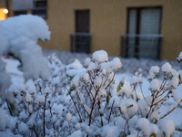 Snow is seen falling in a residential neighbourhood in Warsaw, Poland on 22 November, 2024. It is the first time in recent years significant...