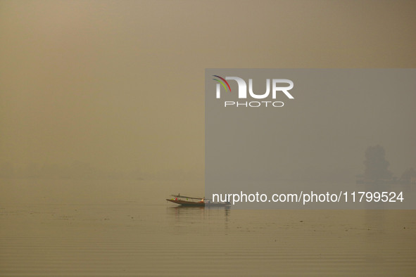 A man rows his boat in the waters of Dal Lake amid fog in Srinagar, Jammu and Kashmir, on November 22, 2024. 