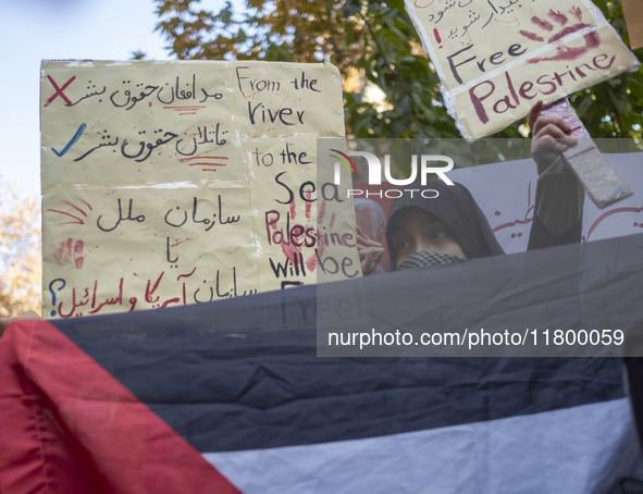 A veiled Iranian woman stands behind a Palestinian flag, while another woman (not pictured) holds up an anti-UN placard that reads, from top...