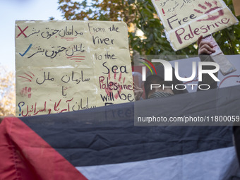 A veiled Iranian woman stands behind a Palestinian flag, while another woman (not pictured) holds up an anti-UN placard that reads, from top...